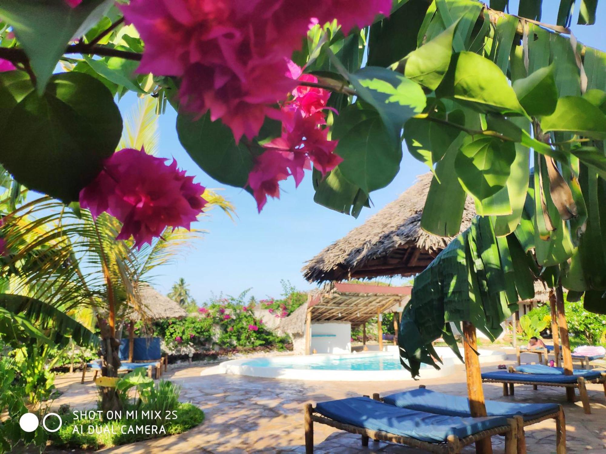Mawimbi Bungalows Nungwi Dış mekan fotoğraf